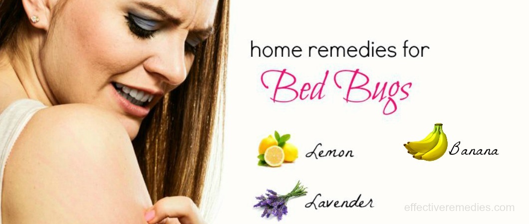 27 Natural Home Remedies For Bed Bugs Bites Removal On Body