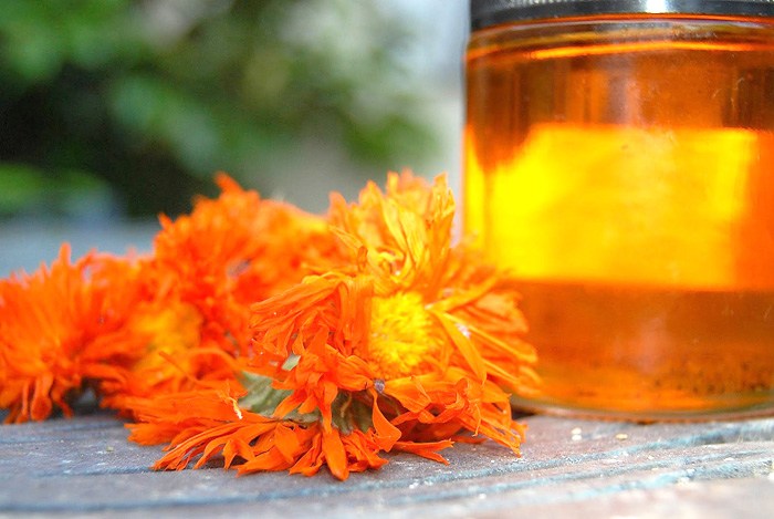 home remedies for yeast infection - calendula