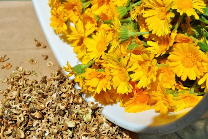 home remedies for eczema - calendula flowers & lavender essential oil