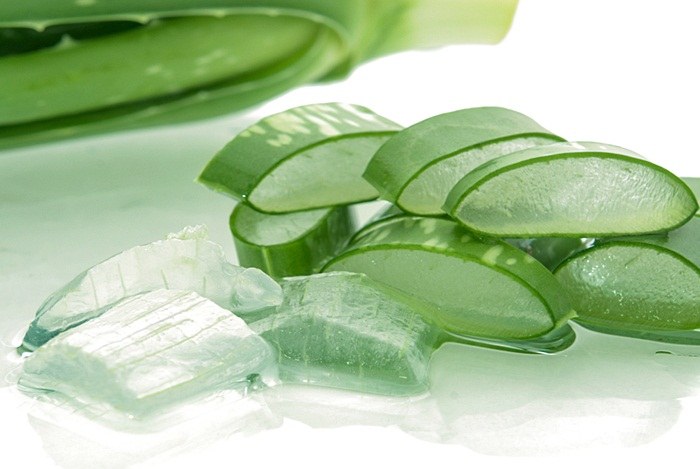 home remedies for fever blisters - aloe vera