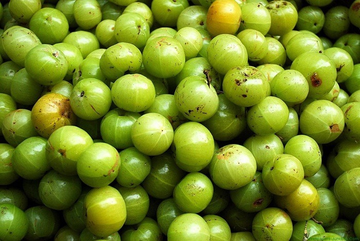 home remedies for bladder infection - indian gooseberry