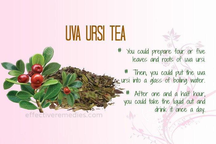 home remedies for uti - uva ursi tea