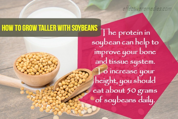 how to grow taller - soybeans