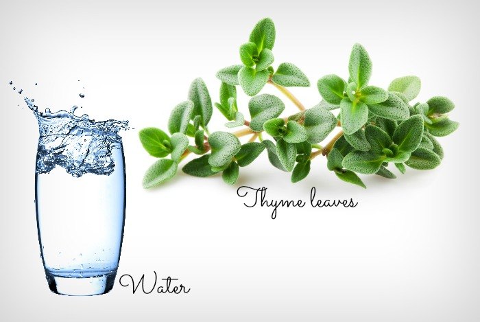 home remedies for bad breath - thyme leaves and water