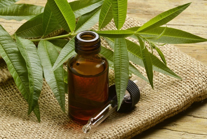 home remedies for boils - tea tree oil