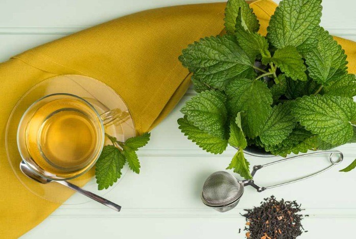 home remedies for hyperthyroidism - lemon balm 