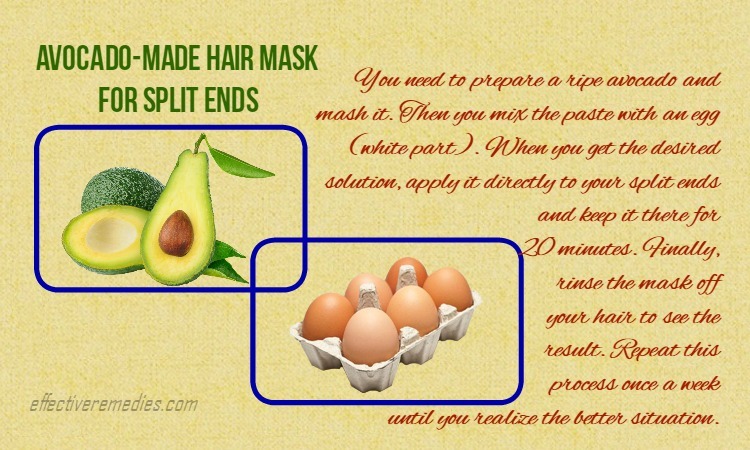 home-remedies-for-split-ends