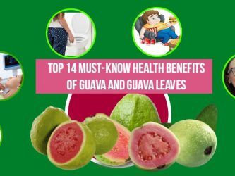 health-benefits-of-guava