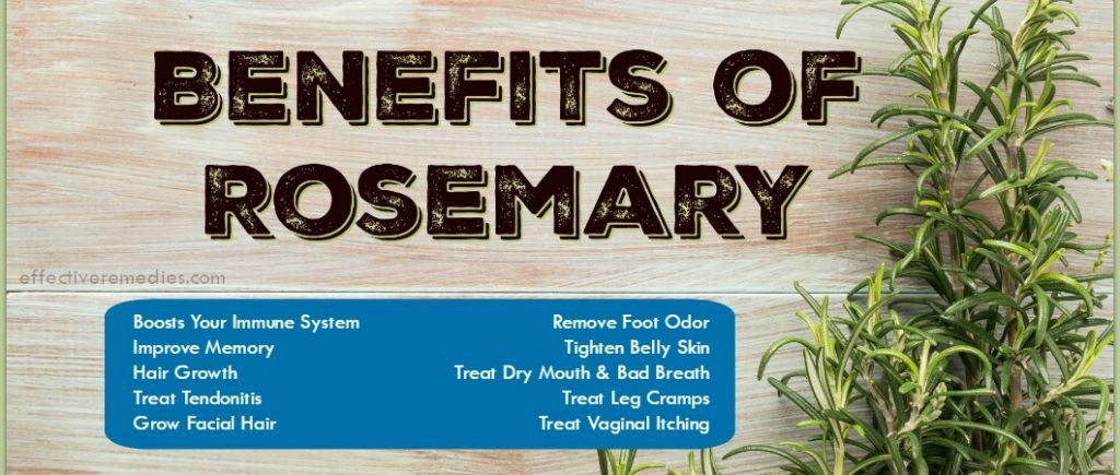 Benefits Of Rosemary