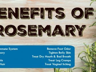 Benefits Of Rosemary