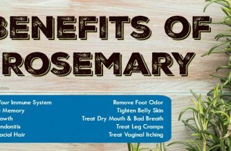 Benefits Of Rosemary