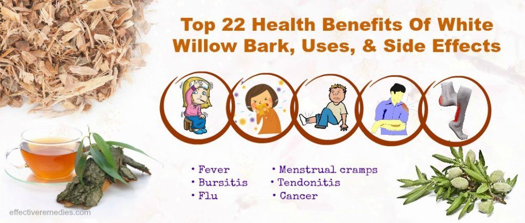 Benefits Of White Willow Bark