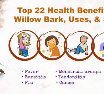 Benefits Of White Willow Bark