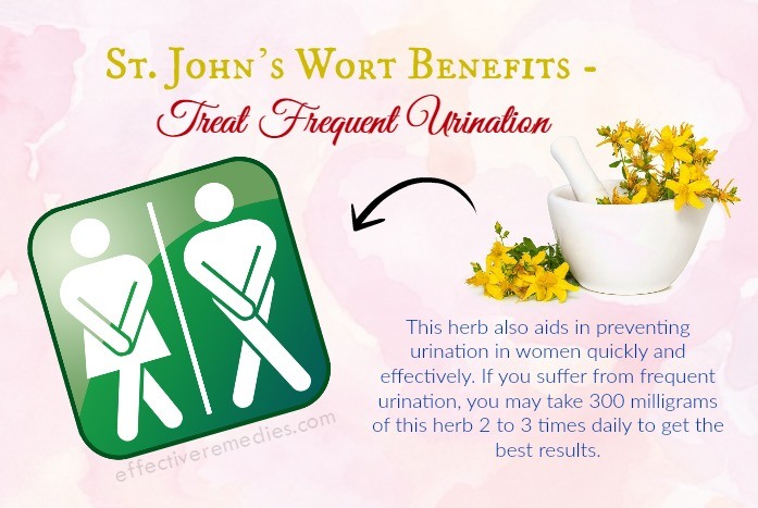 St. John’s Wort Benefits 