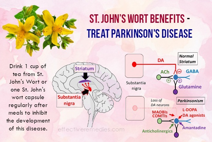 St. John’s Wort Benefits