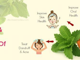 benefits of stevia