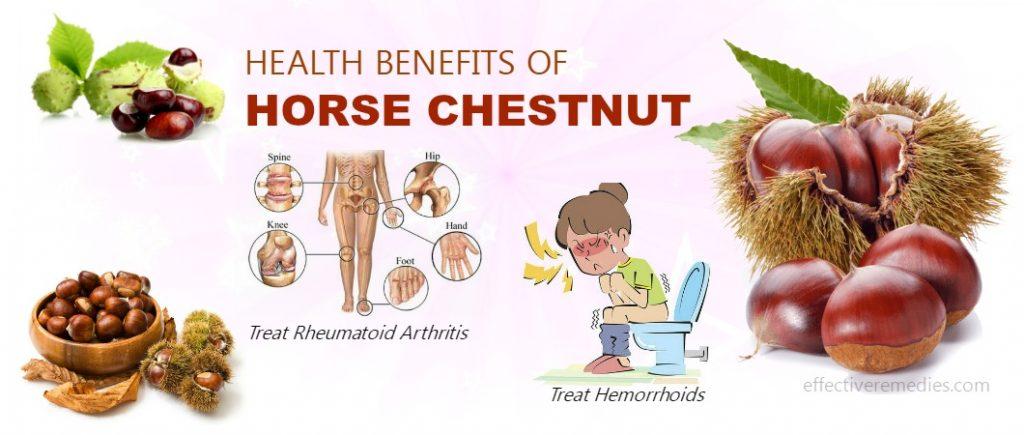 benefits of horse chestnut