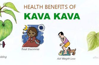 benefits of kava kava