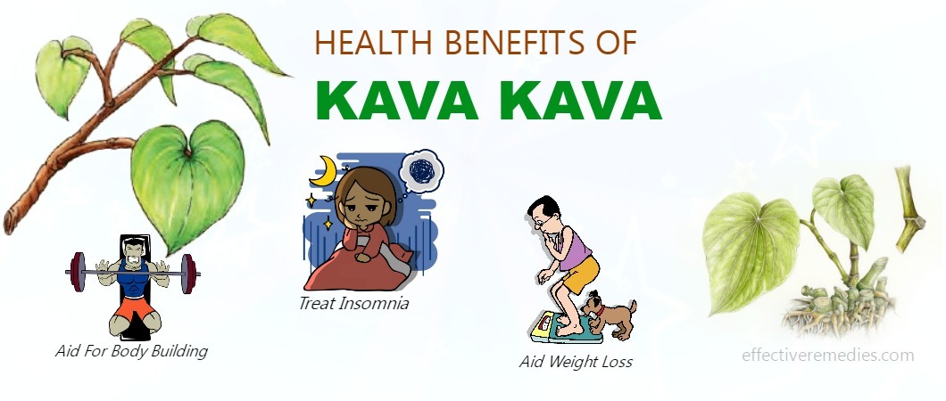 benefits of kava kava