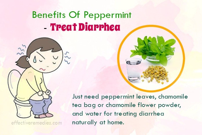 Benefits Of Peppermint 