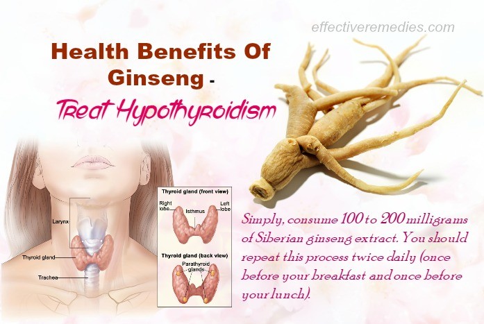 Health Benefits Of Ginseng 