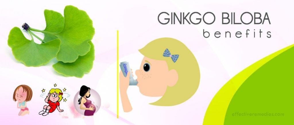 benefits of ginkgo biloba