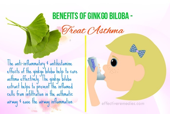 benefits of ginkgo biloba