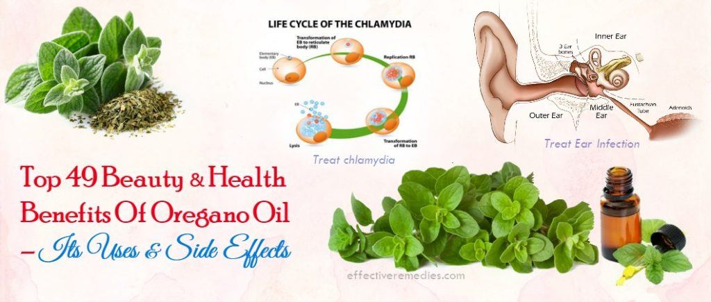 benefits of oregano oil