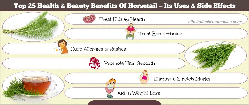 benefits of horsetail