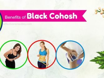 benefits of black cohosh