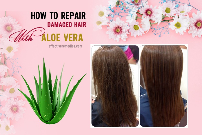 how to repair damaged hair - aloe vera