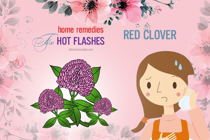 home remedies for hot flashes - red clover