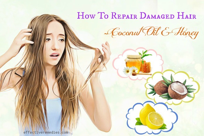 how to repair damaged hair - coconut oil & honey