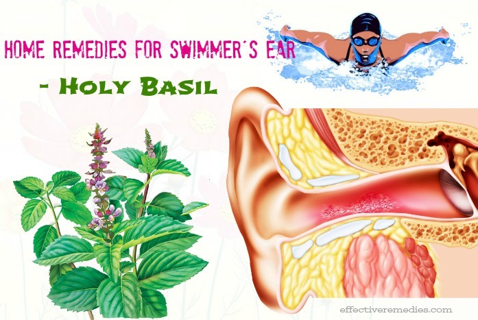 home remedies for swimmer's ear - holy basil