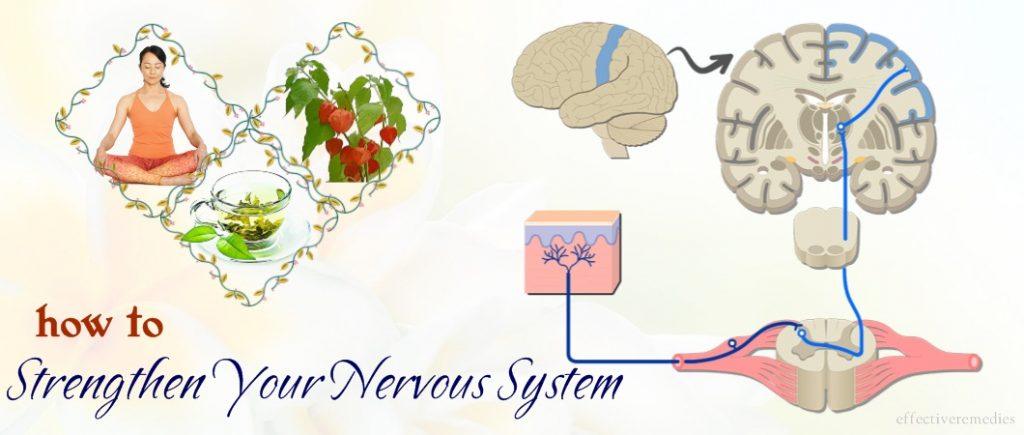 how to strengthen your nervous system naturally