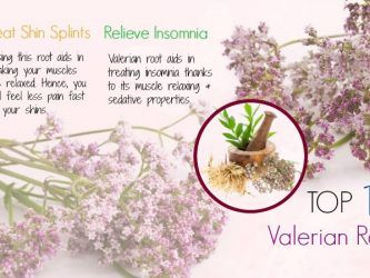 valerian root benefits