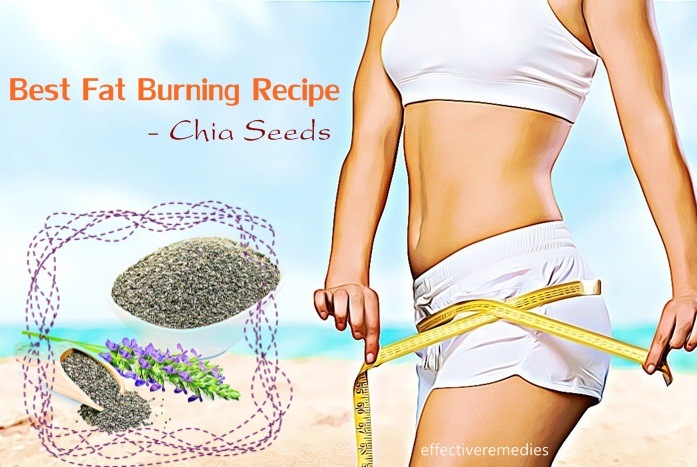 best fat burning recipe - chia seeds