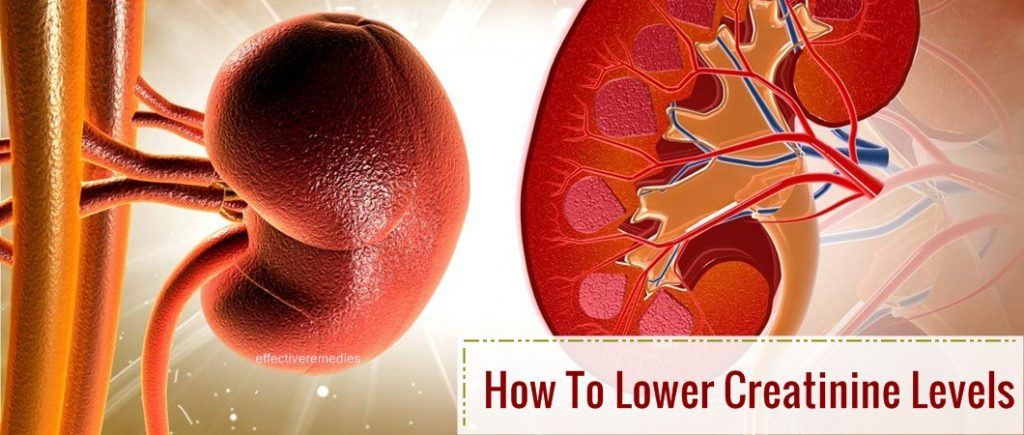 how to lower creatinine levels with herbs